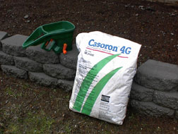 Cassaron Pre Emergence, 
Helps To Prevent New Seeds From Germinating