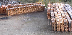 Winter Firewood